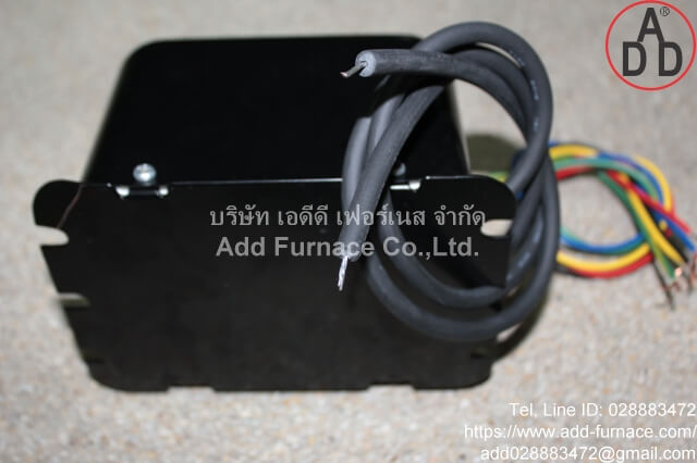 LECIP G10M23-ZC ignition transformer (9)